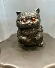 Load image into Gallery viewer, Realistic jumbo kitty squish “raff”
